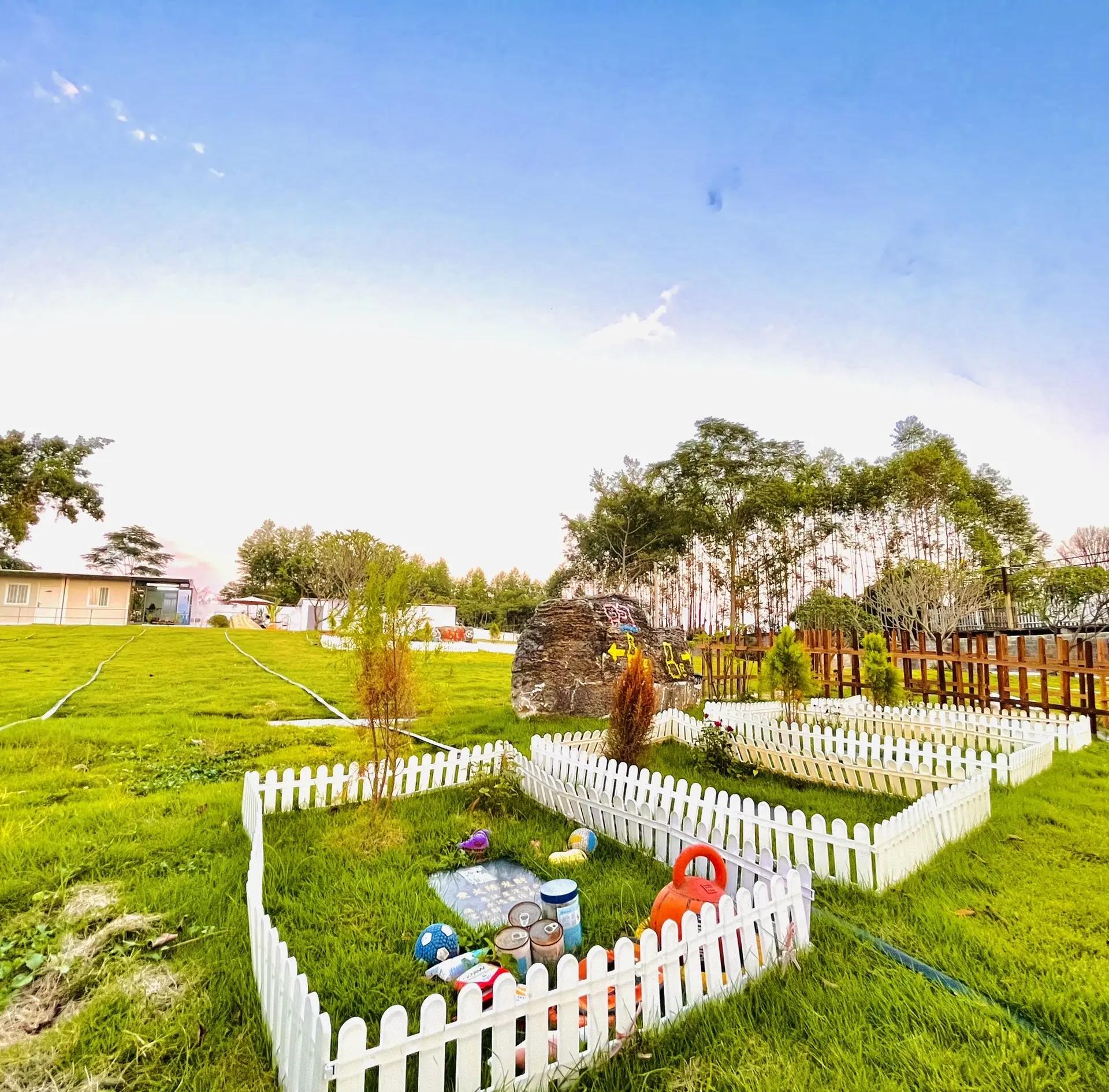 南宁宠物善终殡葬服务新选择 以温情与专业陪伴最后一程