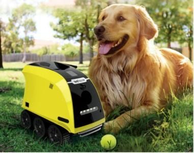 宠物智能硬件市场发展前景分析 为APP开发公司带来的机遇与挑战