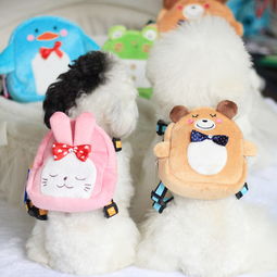 宠星人 为爱宠打造品质生活，最新产品与服务全解析