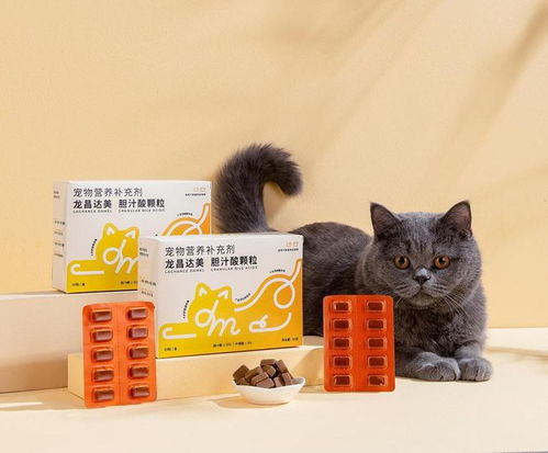 龙昌达美 立足爱宠日常保肝，以精细化服务捕捉养宠新需求