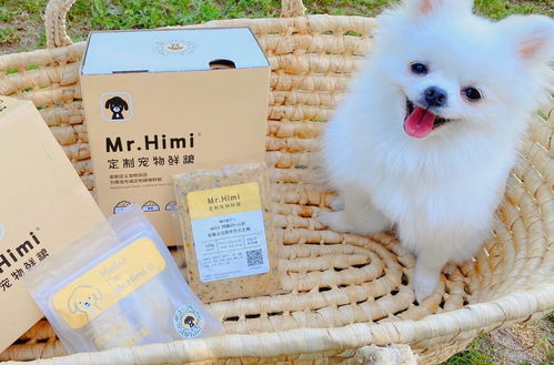 俘获铲屎官，从满足主子的胃开始 定制处方鲜粮引领宠物服务新潮流