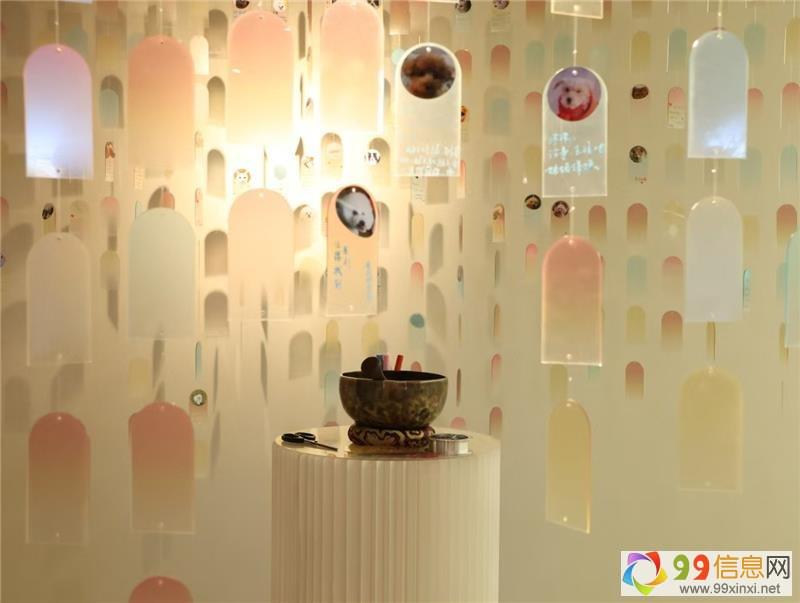 济源市24小时宠物火化服务费用及贴心宠物服务详解