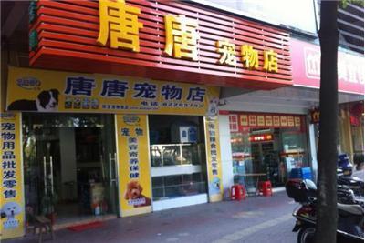 唐唐宠物店 佛山禅城区的一站式宠物服务专家